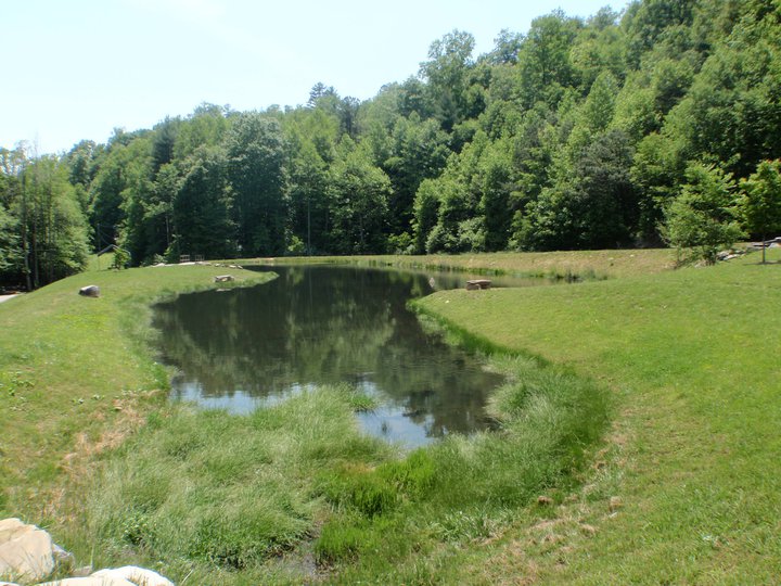 Cooper Creek Trout Farm in Bryson City, NC