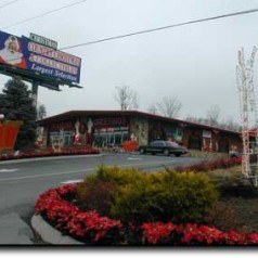 Country Christmas &amp; Collectibles | Inside Sevierville