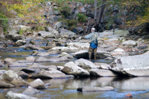 Man fly fishing in a stream in the Smoky Mountains