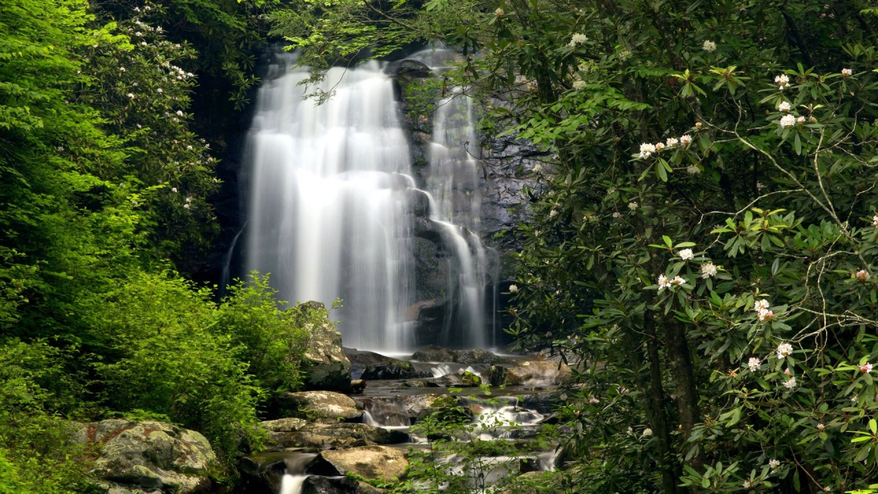 Meigs Falls